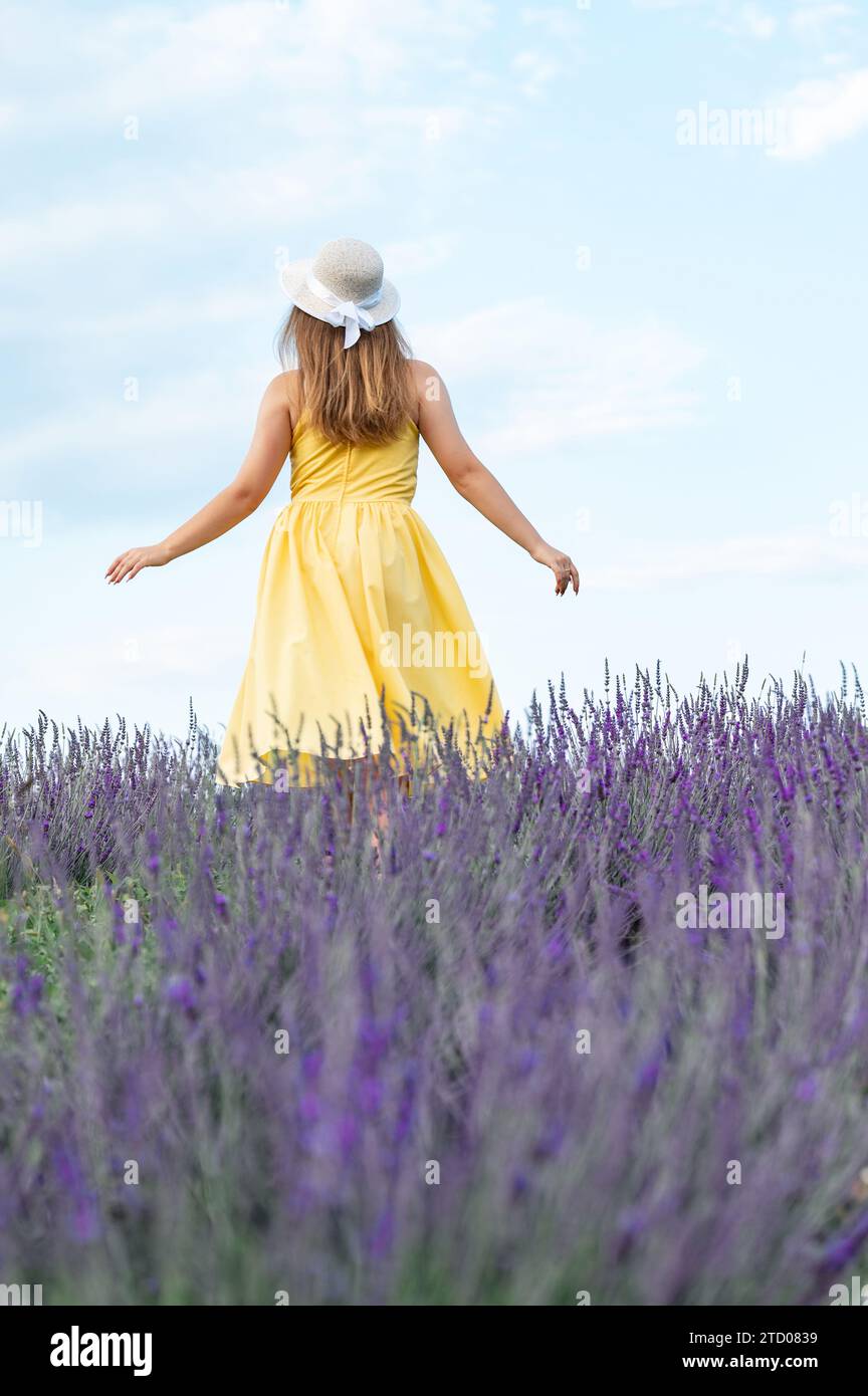 A girl in a yellow dress walks in a lavender field, a young girl between lavender bushes. Stock Photo