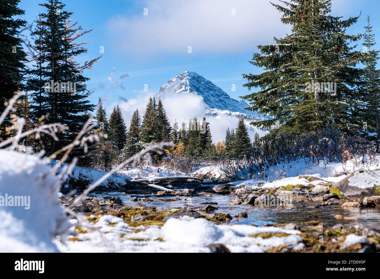 Crisp weather hi-res stock photography and images - Alamy