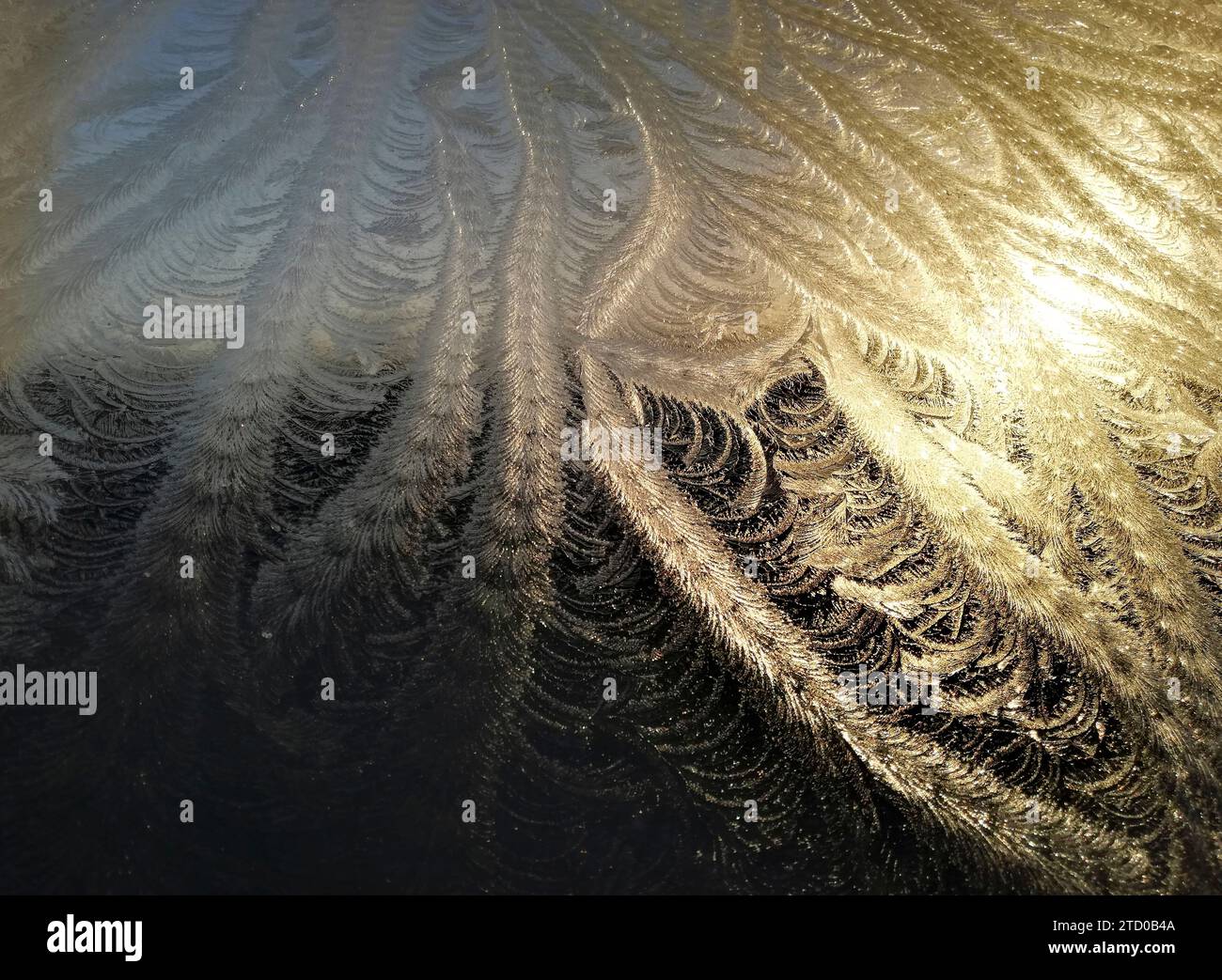 Frost on window, Netherlands Stock Photo