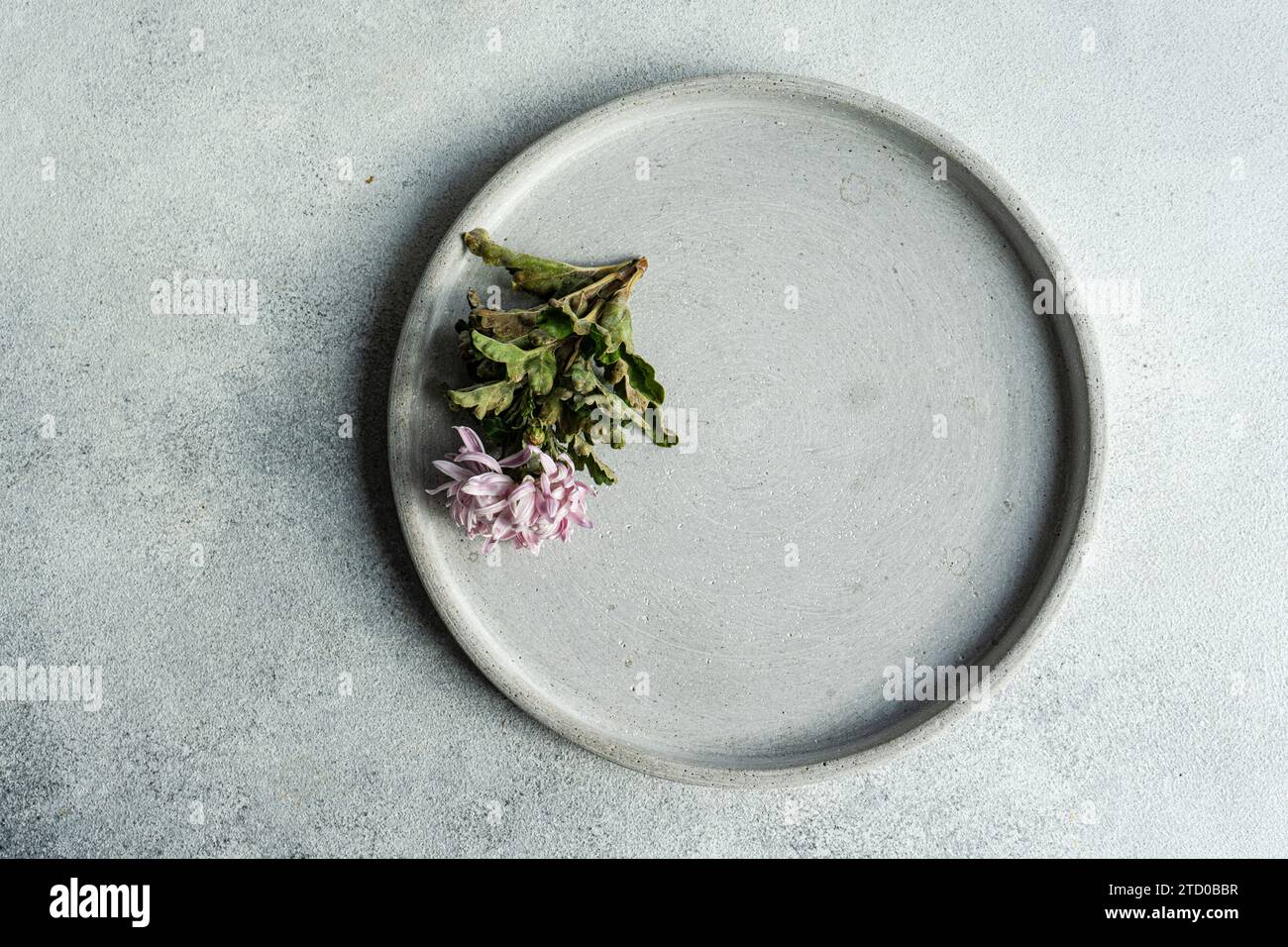 A minimalist food presentation on a gray ceramic plate over a textured surface. Stock Photo