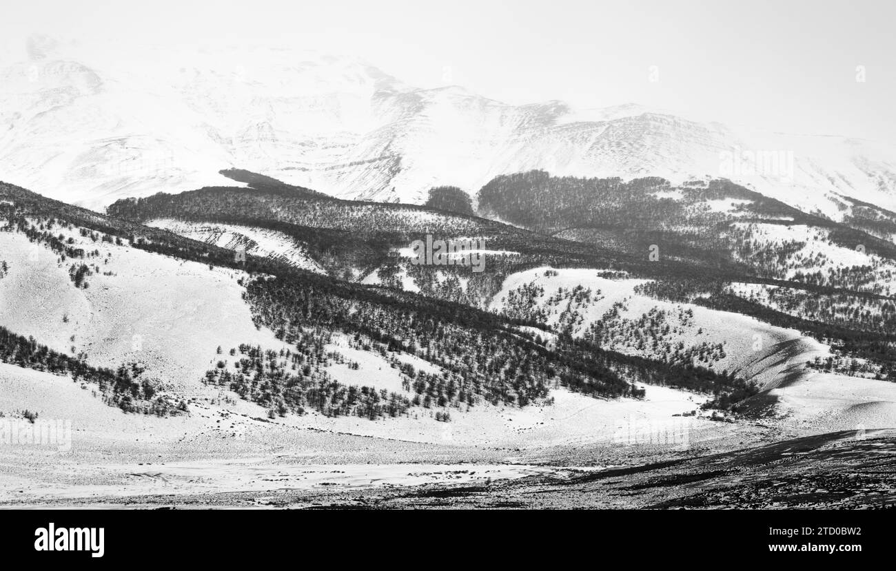 Black and white snowy landscape in Torres del Paine, Patagonia, Chile, South America Stock Photo