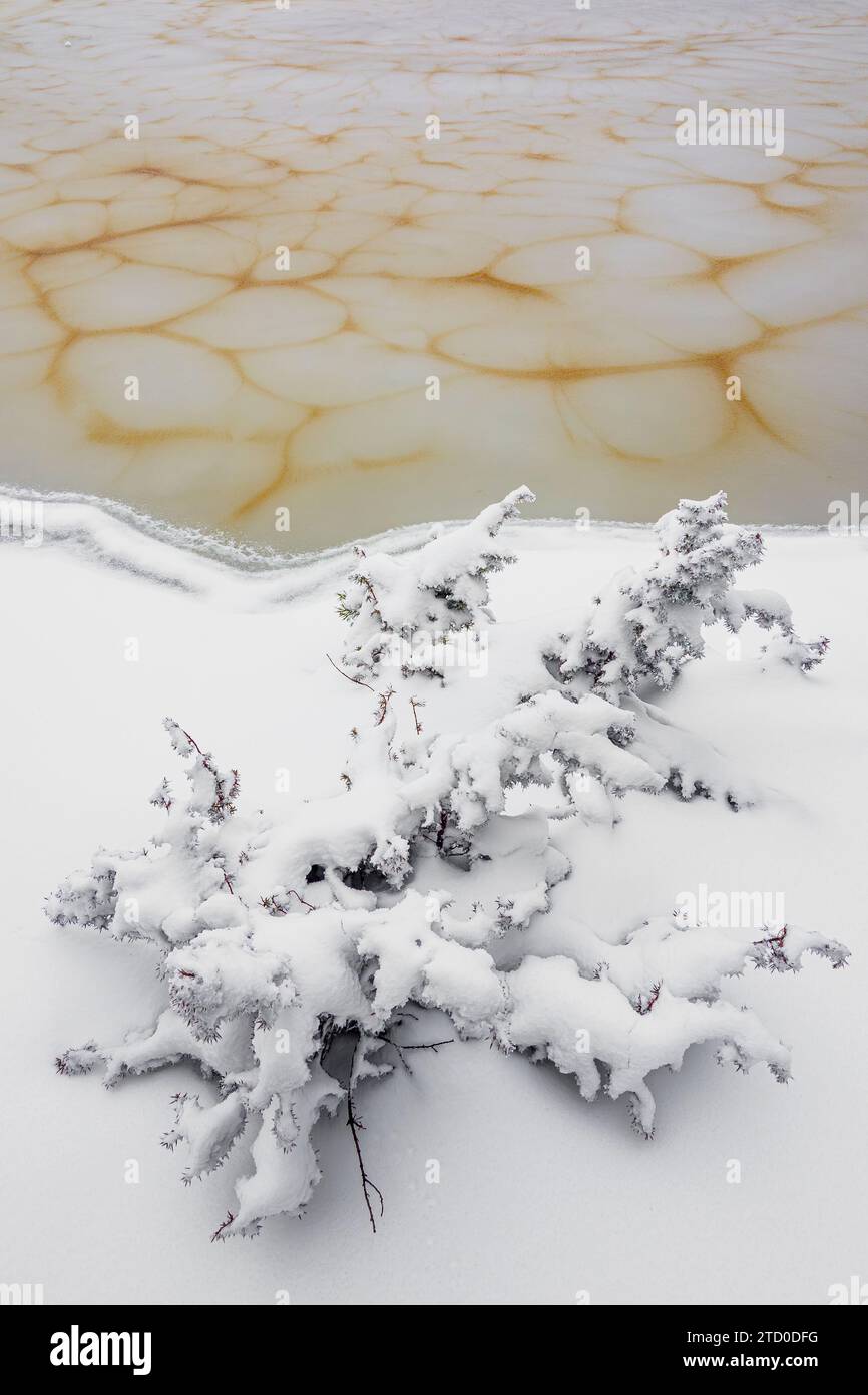 High angle of bush covered with white snow located near frozen river in countryside on cold winter day in Neila Spain Europe Stock Photo