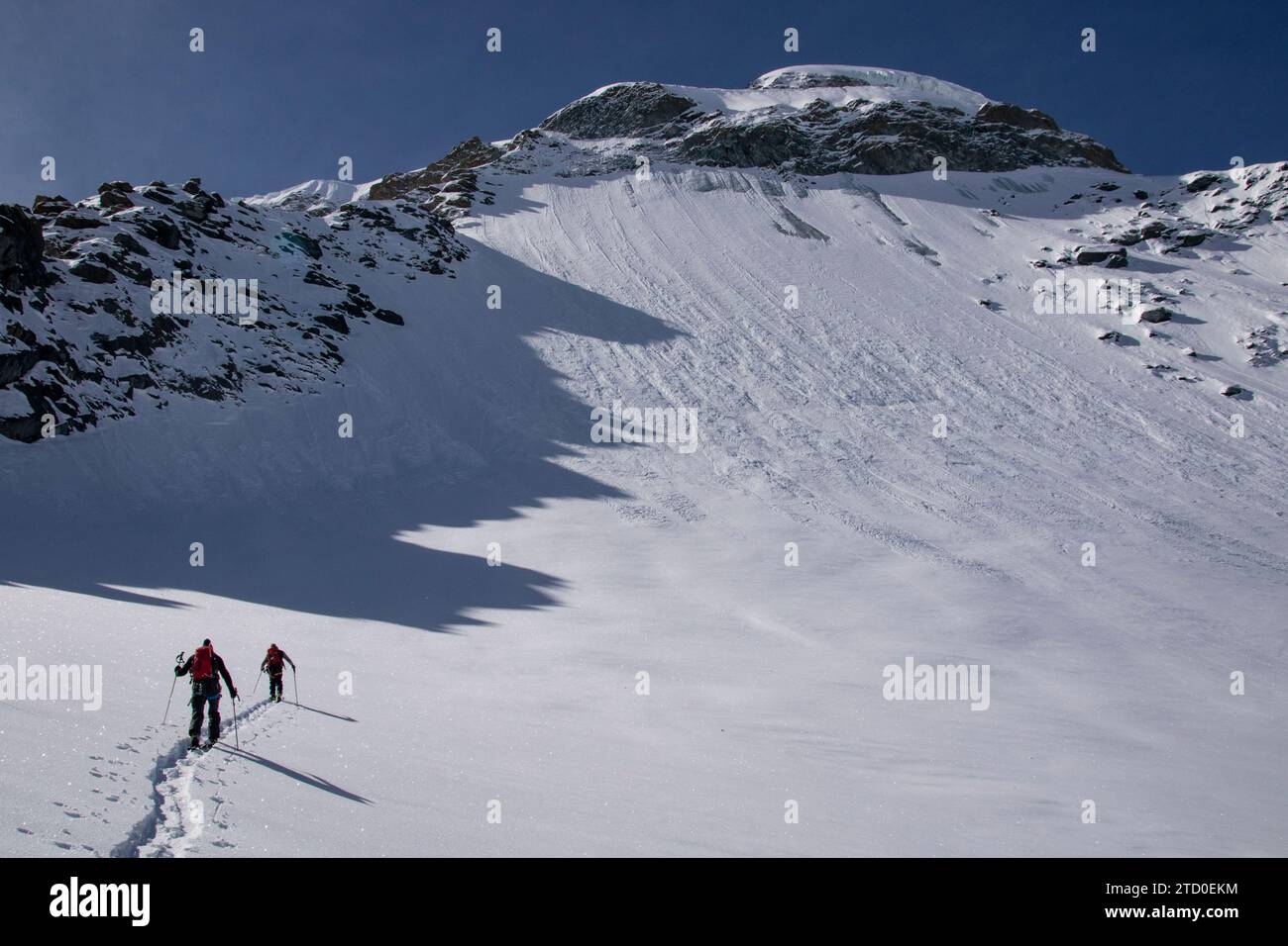 Back view of anonymous skiers in warm clothes skiing on snowcovered mountain under blue sky in