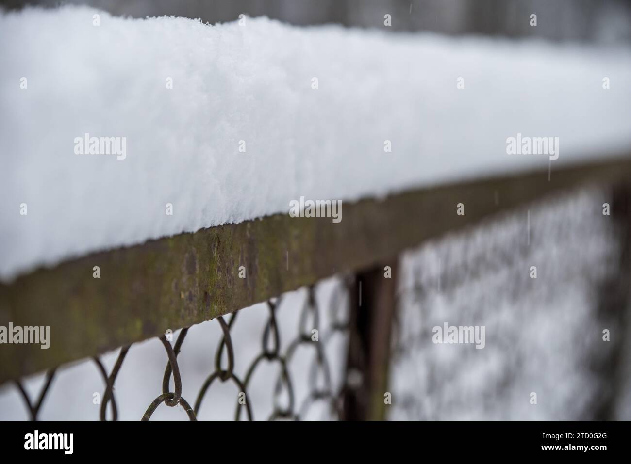 Mesh netting covered frost hi-res stock photography and images - Alamy