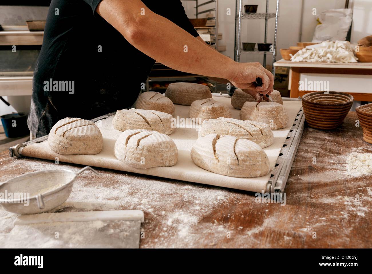 Cropped hands of unrecognizable male chef in casuals scoring uncooked bread dough with knife on large baking tray at table in bakehouse Stock Photo