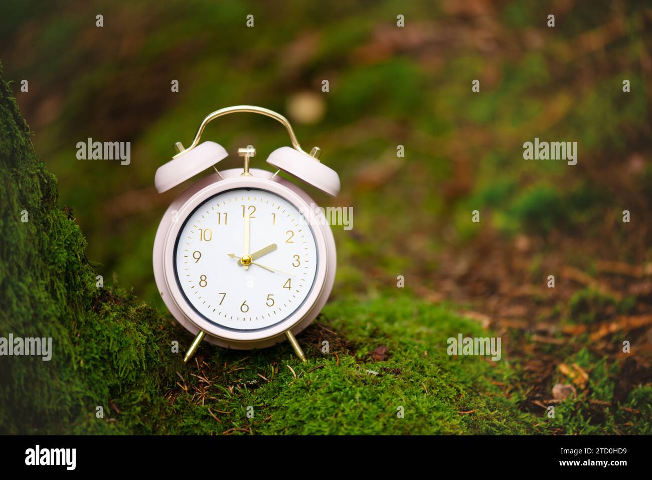 Alarm clock in the green forest, switch to daylight saving time in ...