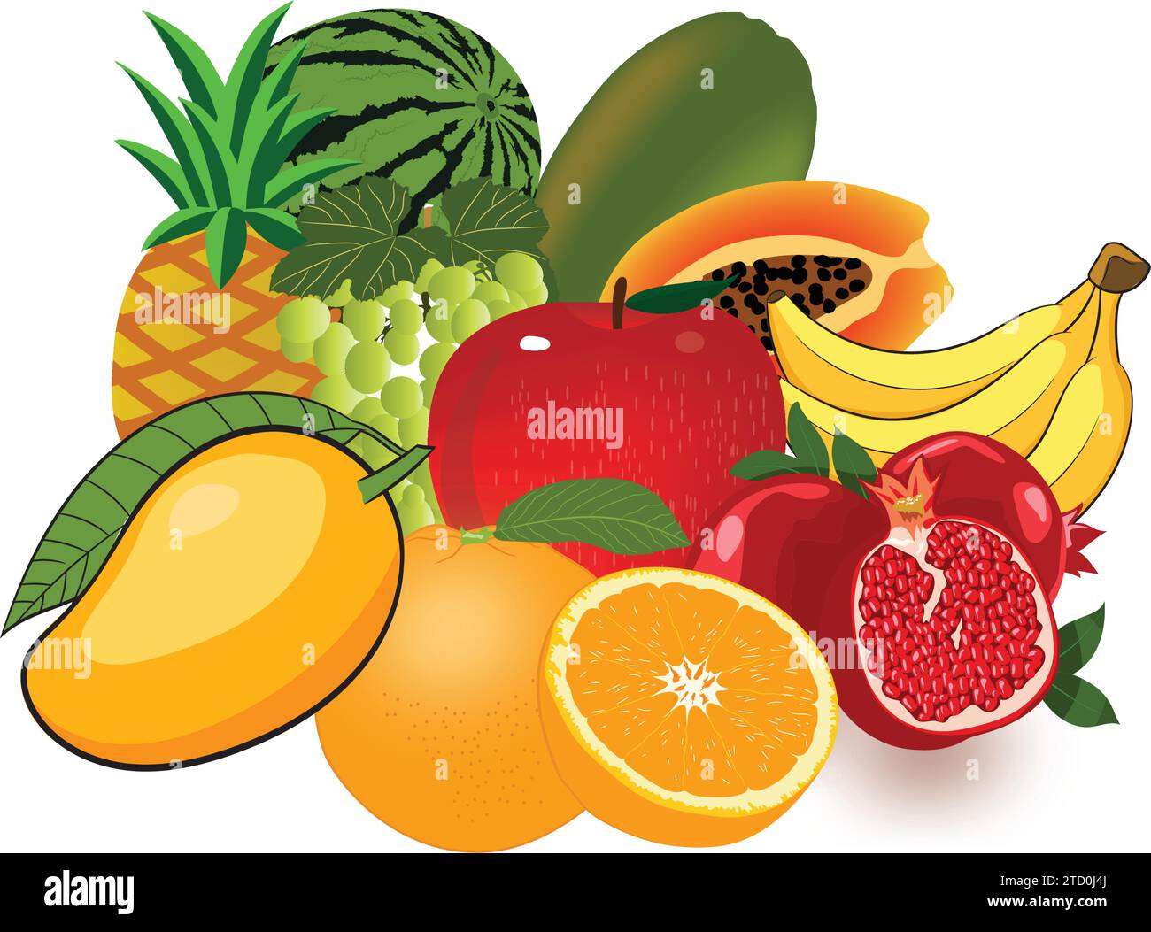 Vector illustration of fresh fruits of Apple, Orange, Watermelon, Mango