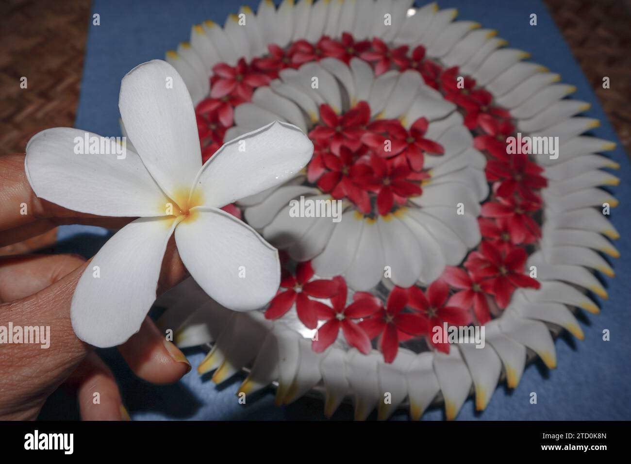 Beautiful flower rangoli also used as aarti thali decorated on pooja thaali Stock Photo