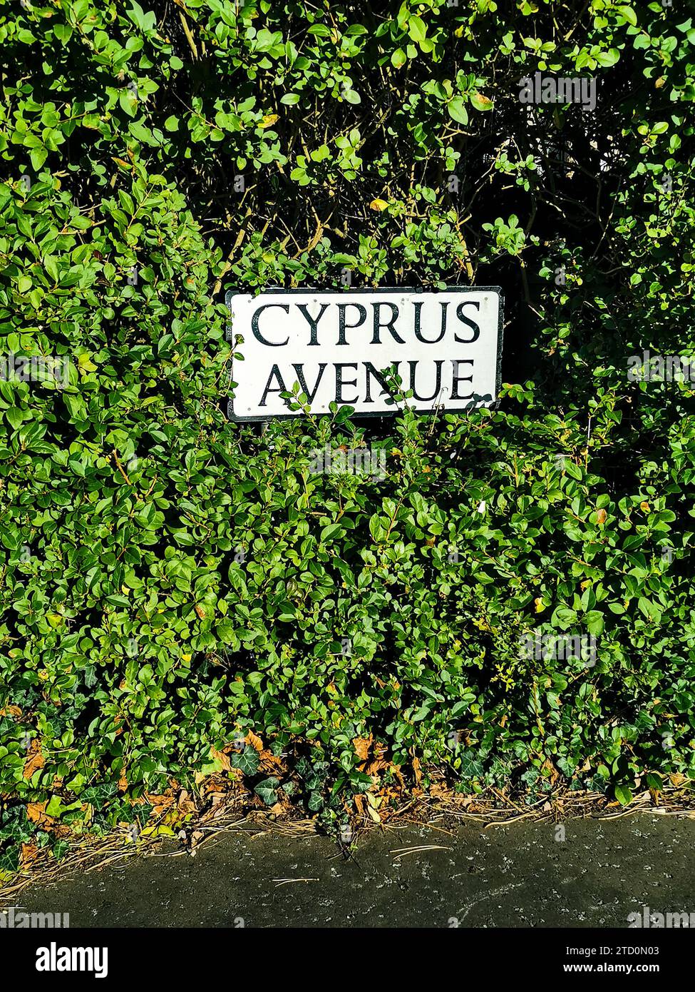 Traditional street sign pointing Cyprus Avenue, a street made famous by the Northern Irish songwriter Van Morrison in East Belfast, Northern Ireland. Stock Photo