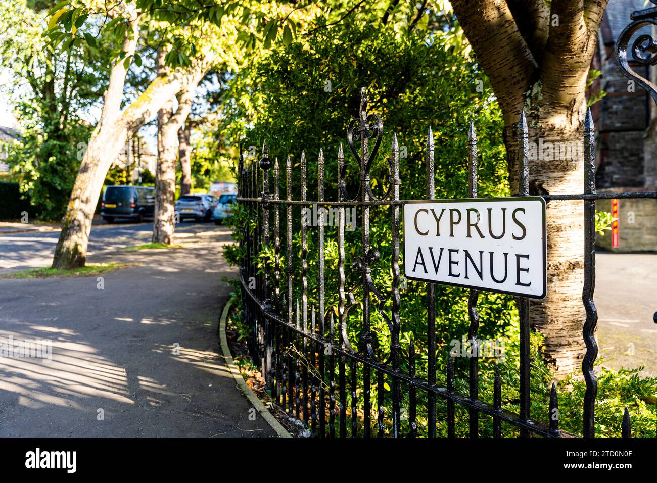 Traditional street sign pointing Cyprus Avenue, a street made famous by the Northern Irish songwriter Van Morrison in East Belfast, Northern Ireland. Stock Photo