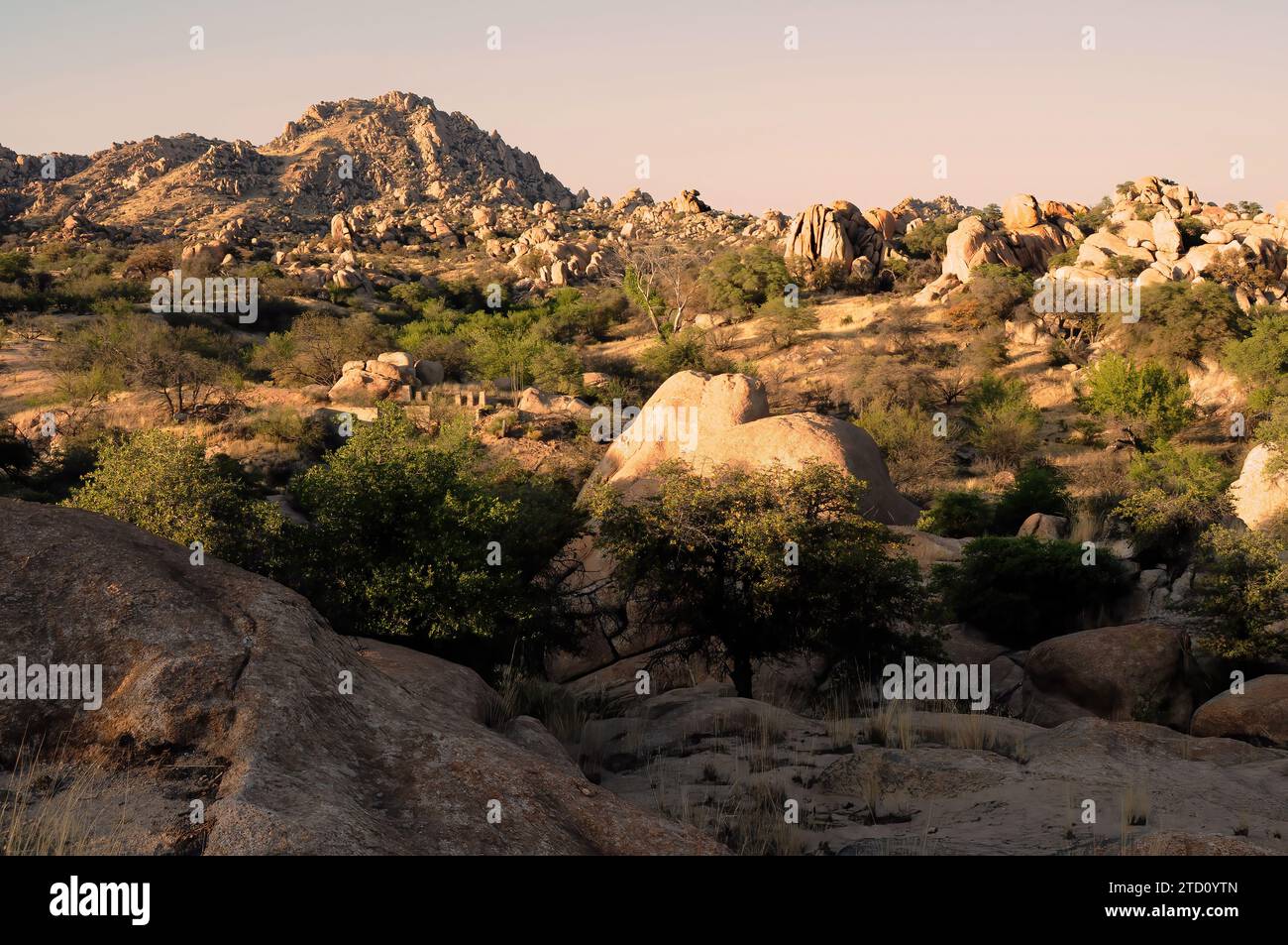 Sunset Texas Canyon in the Sonora desert in central Arizona USA Stock ...