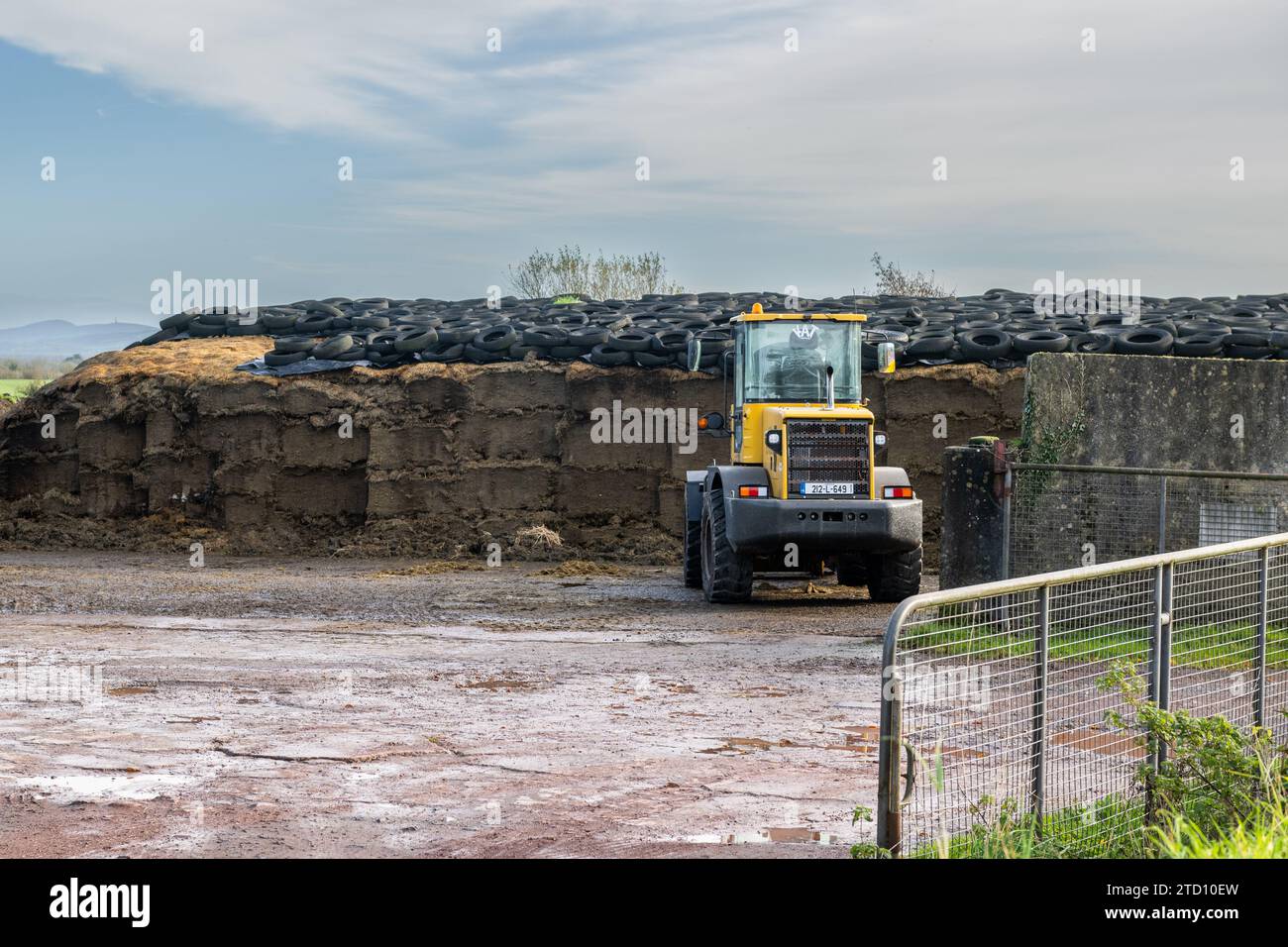 Silage pit on a farm in County Limerick, Ireland. Stock Photo