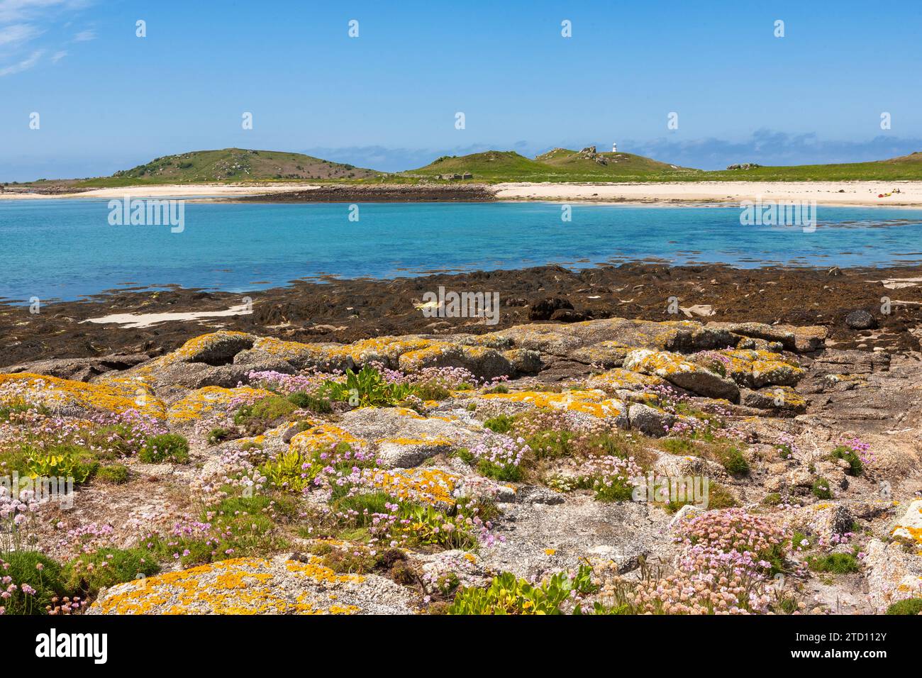 Low tide beach at East Porth, on the uninhabited island of Teän, Isles of Scilly, UK, with sea beet and thrift growing in the rocks in the foreground Stock Photo