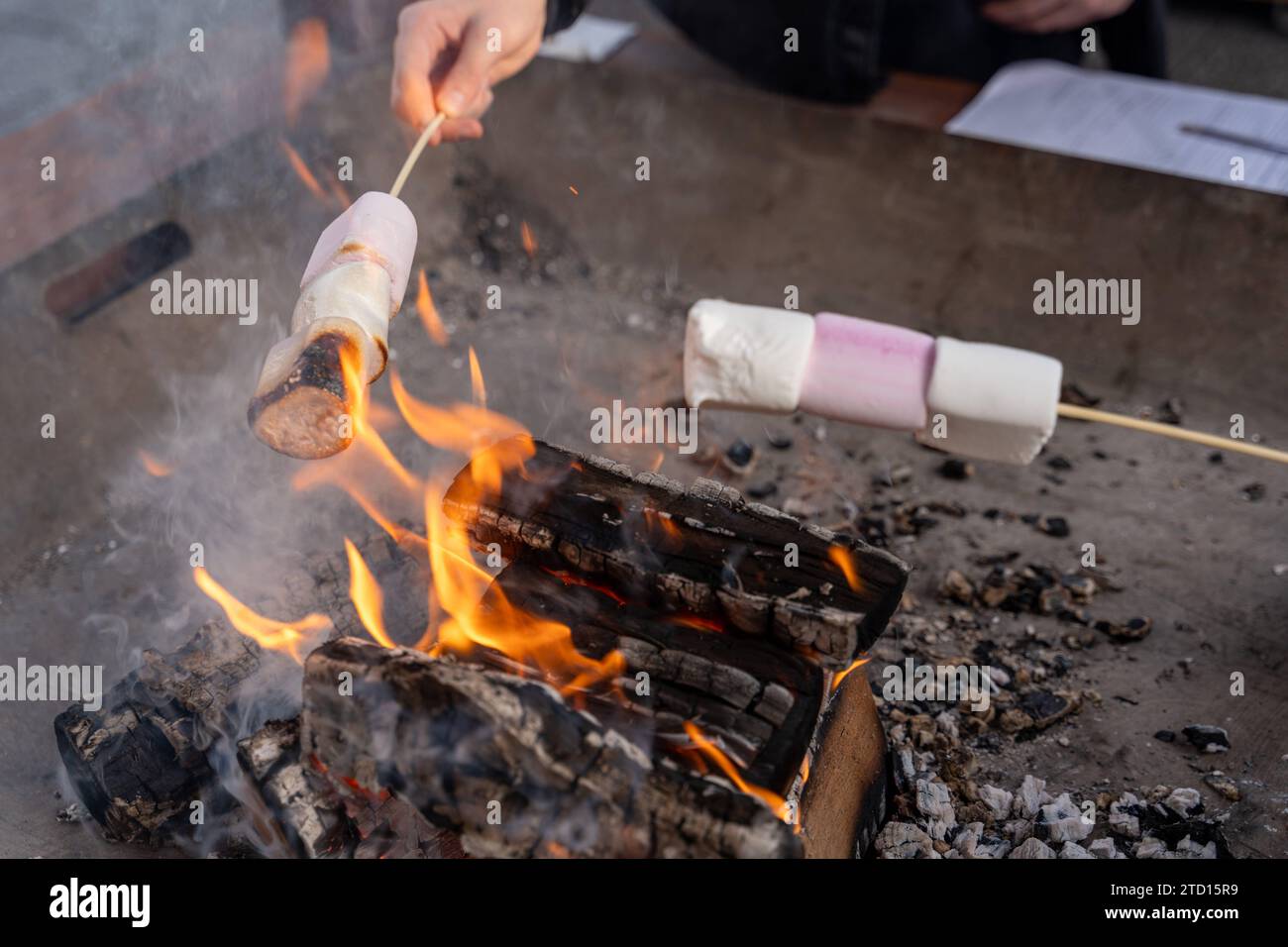 Southampton, England - December 8, 2023: Hands holding marshmallows on a wooden skewer over a fire. Grilled marshmallows *** Hände halten Marshmallows auf einem Holzspieß über ein Feuer. Gegrillte Marshmallows Stock Photo
