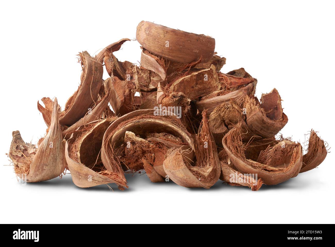 pile of dried coconut husk or coir, commercially important natural fiber extracted from outer husk of coconut fruit, popular in gardening, sustainable Stock Photo