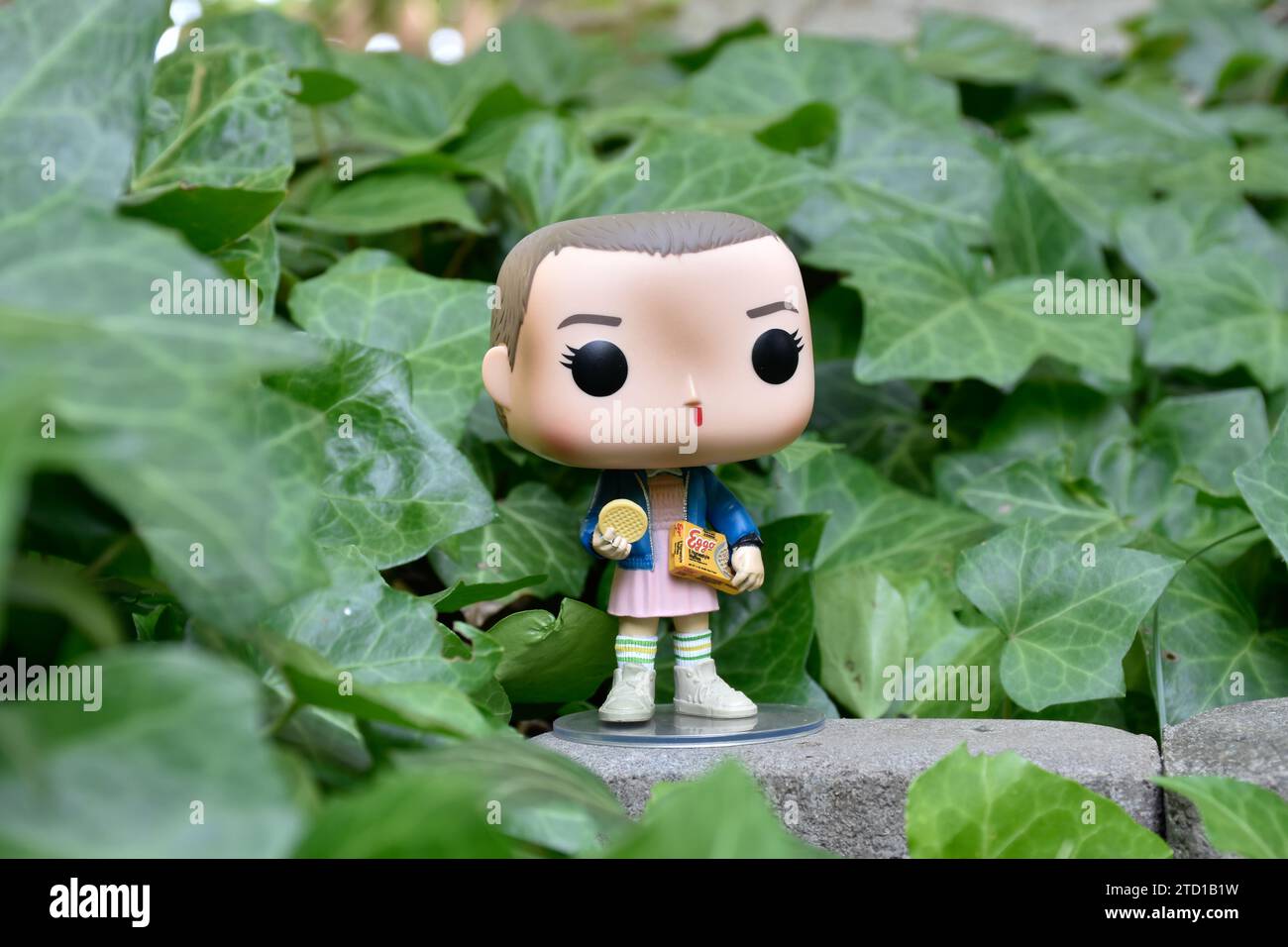 Funko Pop action figure of Eleven with Eggo waffles from Netflix TV series Stranger Things. Green ivy plant leaves, abandoned garden, mysterious mood. Stock Photo