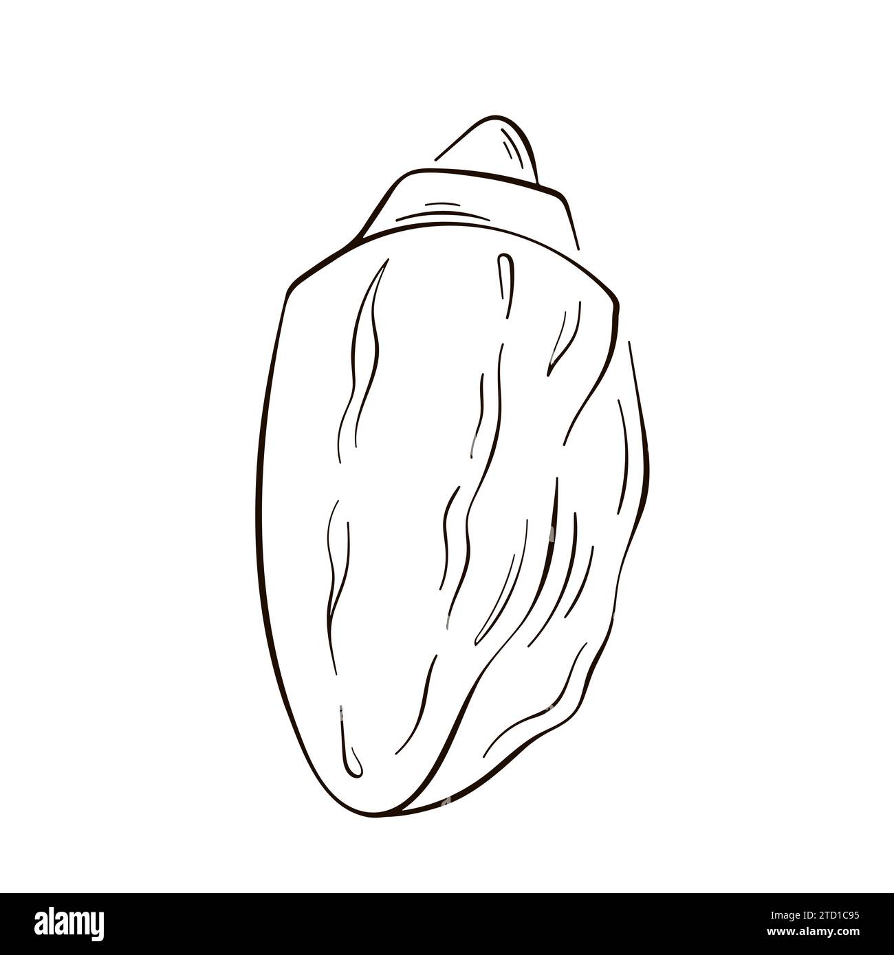 Seashell icon in line art style. Sea logo in shape of shell for design ...