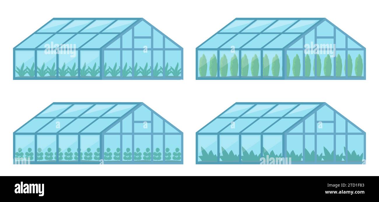 Greenhouses with glass walls, agricultural buildings. Cultivation of agricultural crops. Vector Illustration Stock Vector