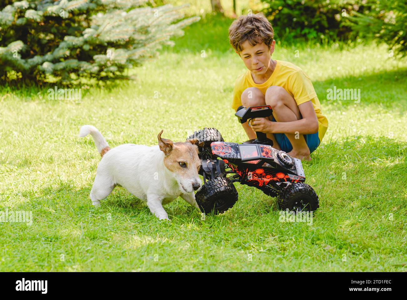 Kid playing with RC (radio controlled) toy racing car. Dog has got into accident with a car Stock Photo