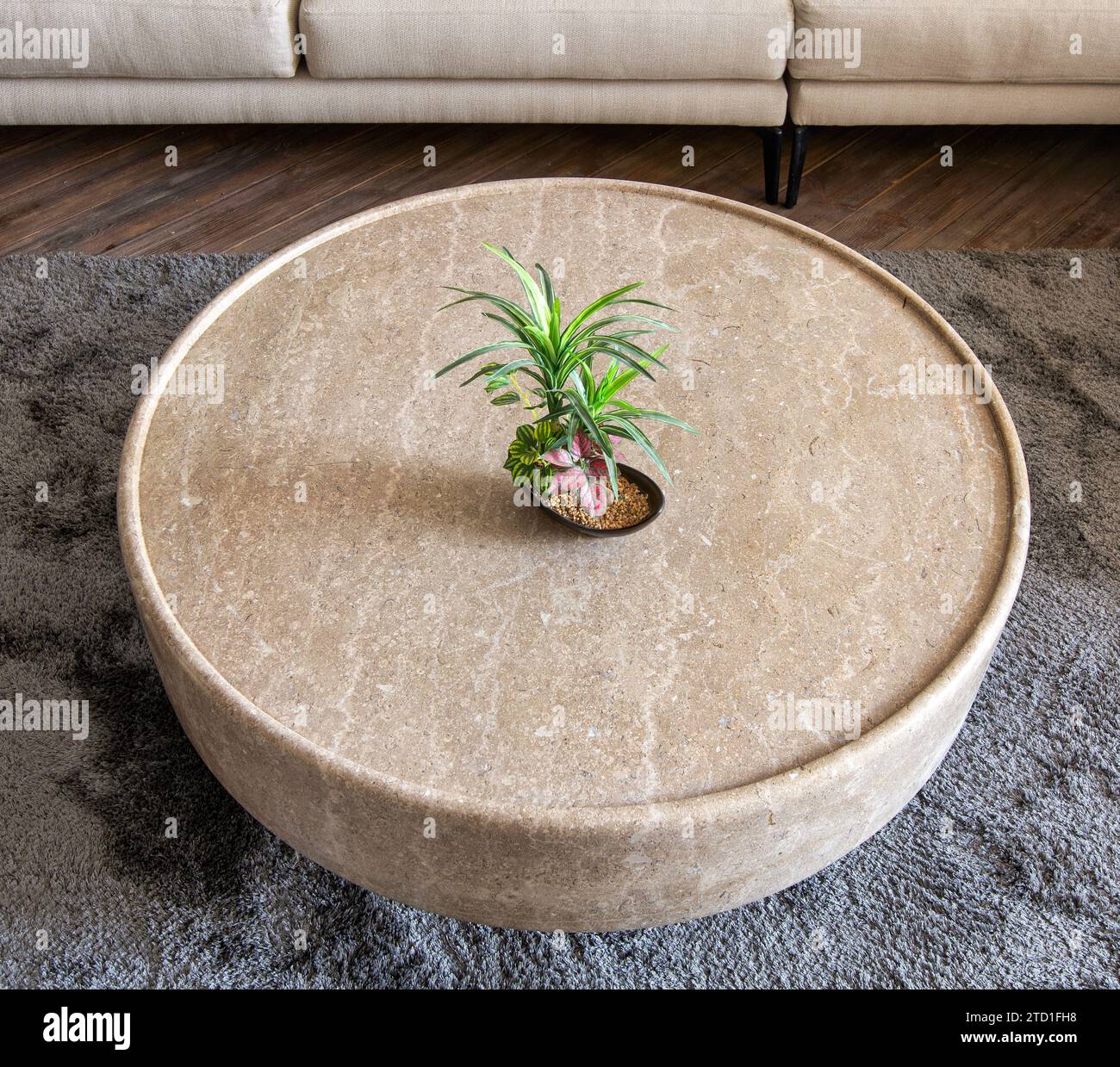 High angle close-up of a round marble coffee table with potted plant on ...