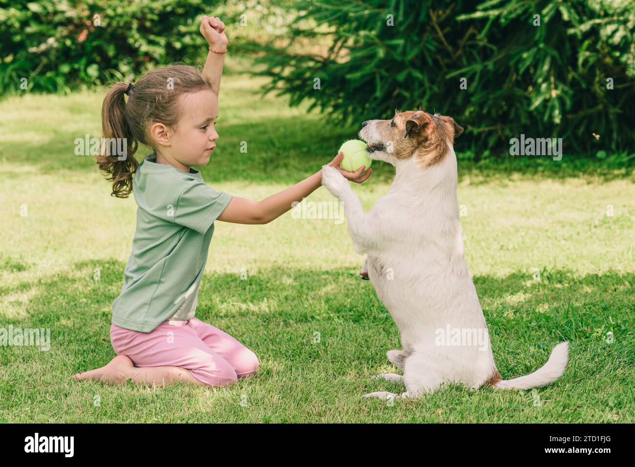 How to train a dog without treats and what non food reward to use. Girl training a dog rewards her pet with a ball toy. Stock Photo