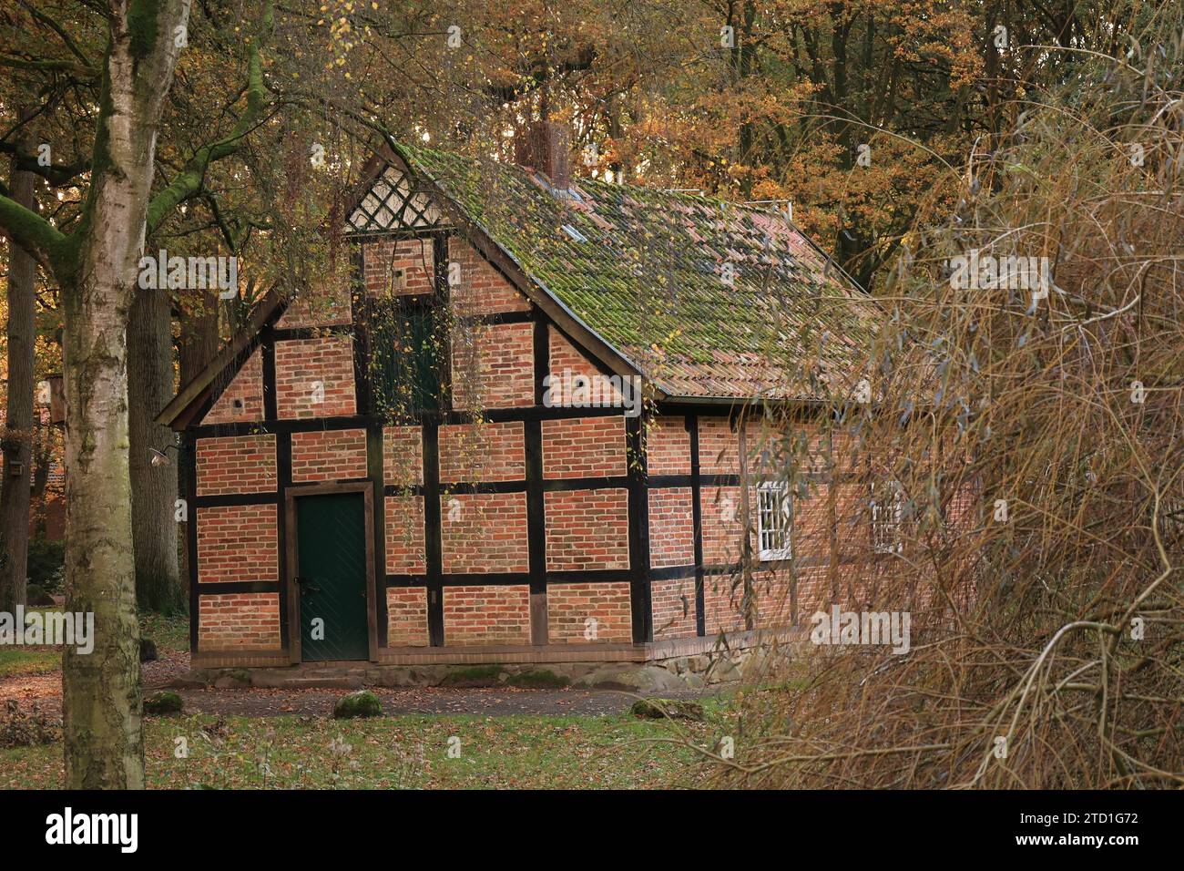 Kloster Dinklage im Herbst Stock Photo