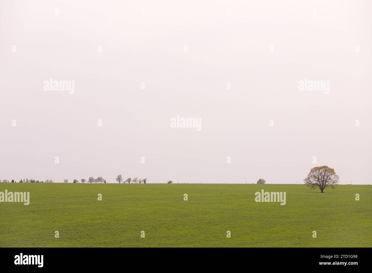 Green field with trees. Ivanovka. Ismayilli region. Azerbaijan. Stock Photo