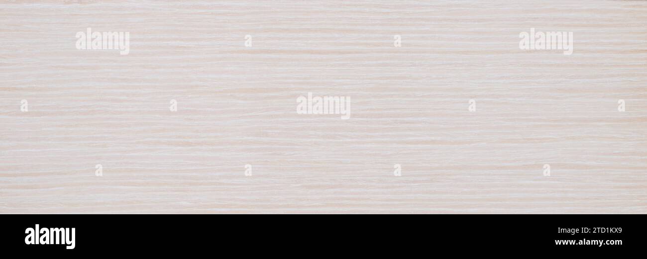 White Bleached Oak wood panel texture panorama pattern Stock Photo