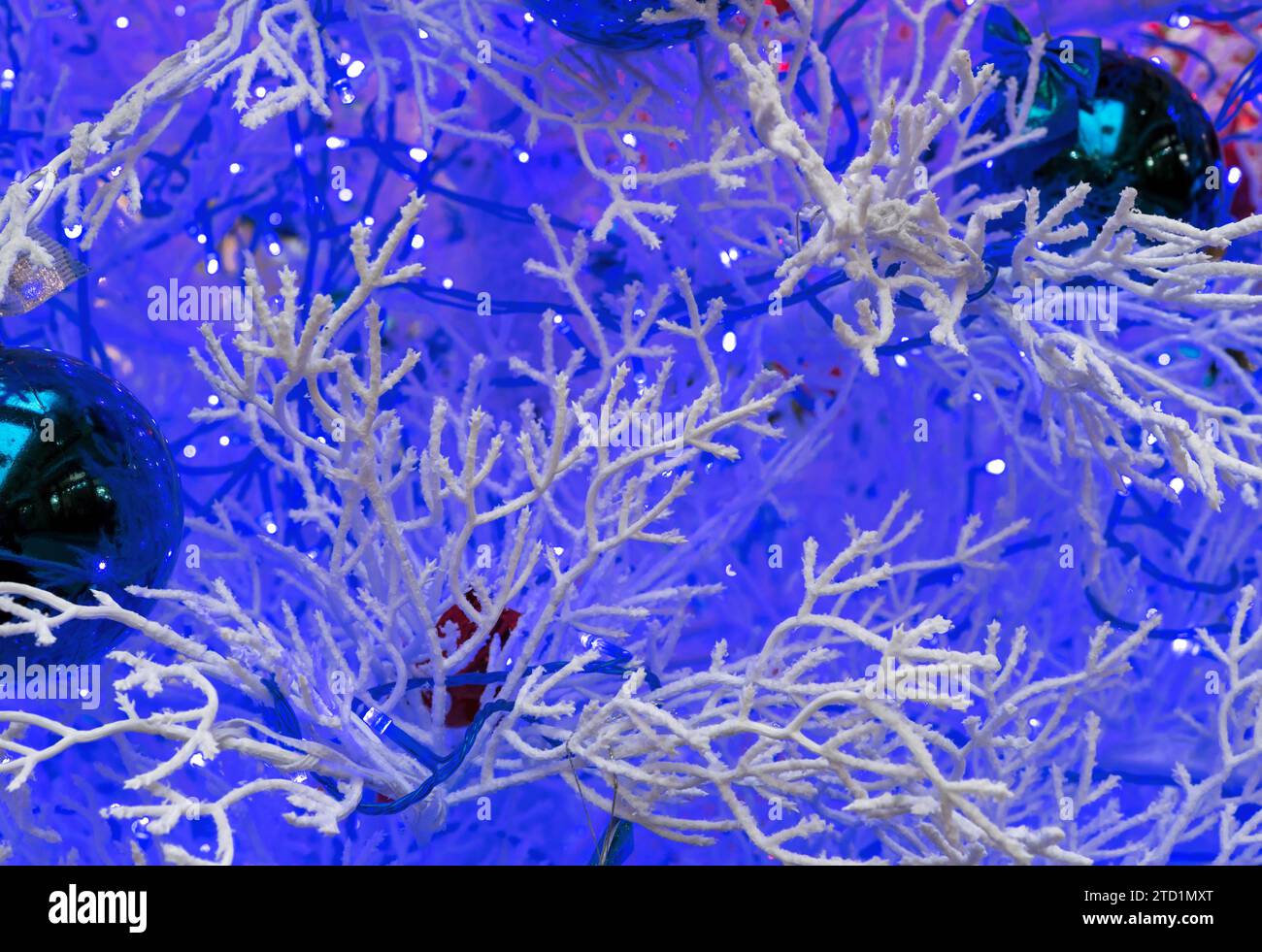 Christmas background with snow-covered branches and blue garland. Stock Photo