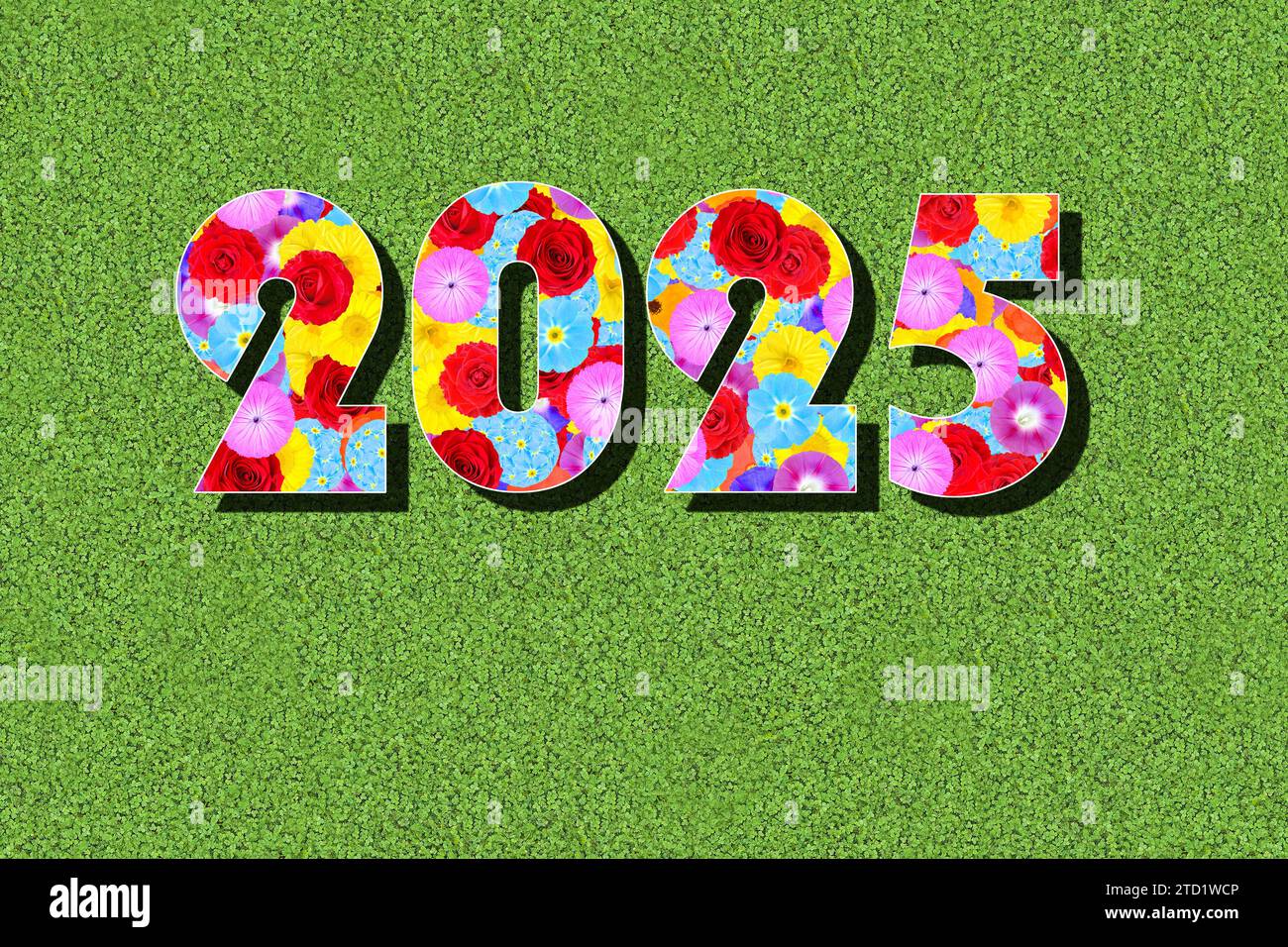 written number of the year 2025, with colorful flowers on a green meadow, graphic, writing Stock