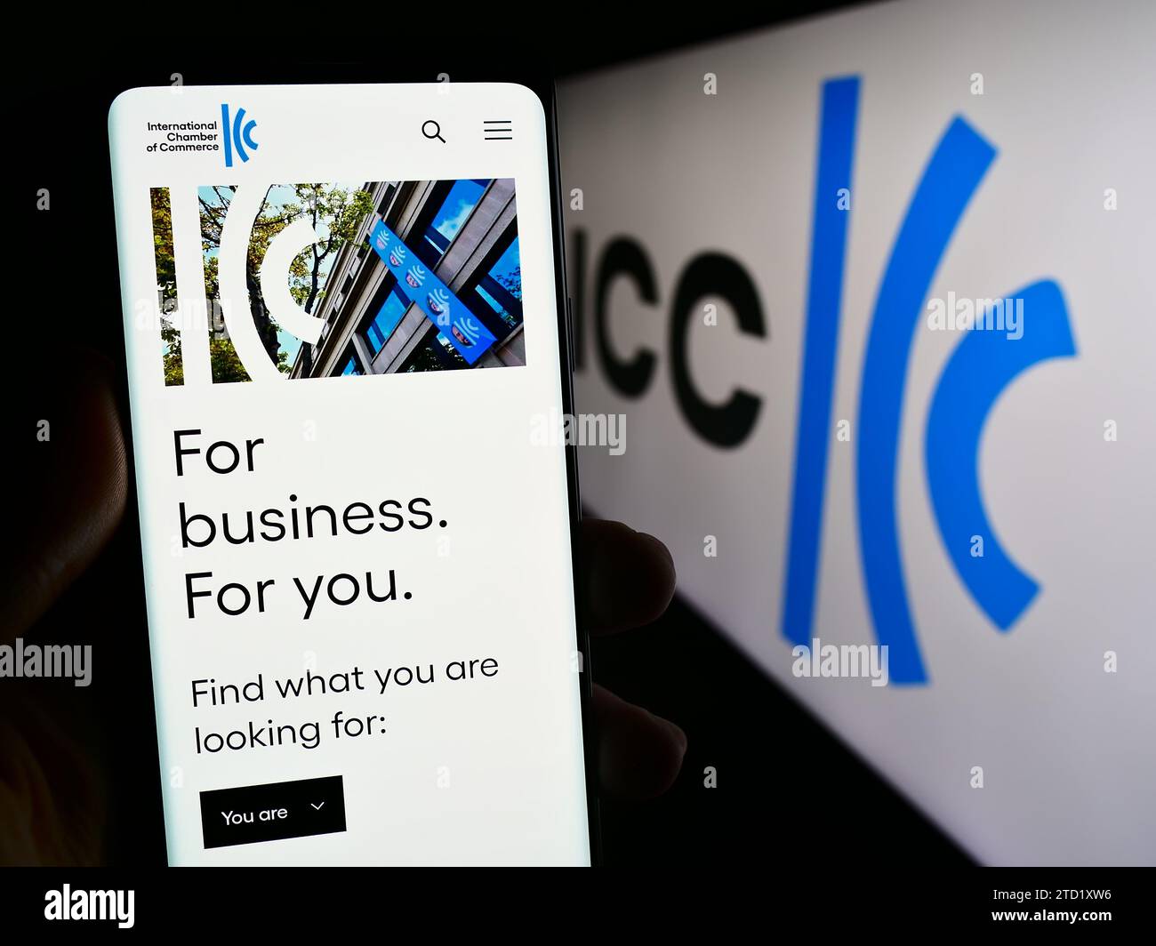 Person holding mobile phone with web page of organisation International Chamber of Commerce (ICC) with logo. Focus on center of phone display. Stock Photo