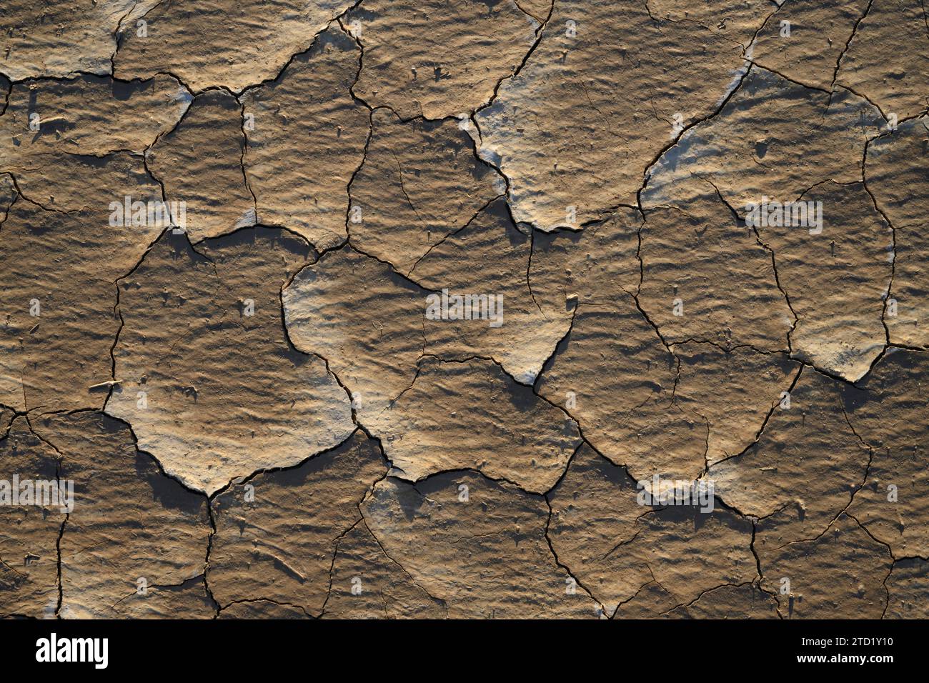 Mud tiles on Panamint Valley playa in Death Valley National Park, California. Stock Photo