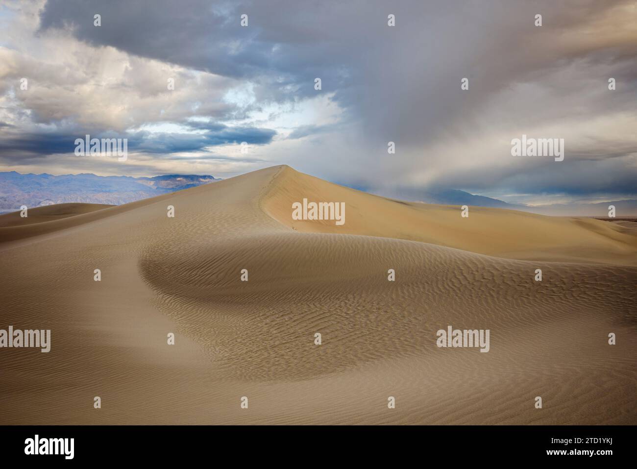 Mesquite Flat Sand Dunes in Death Valley National Park, California. Stock Photo