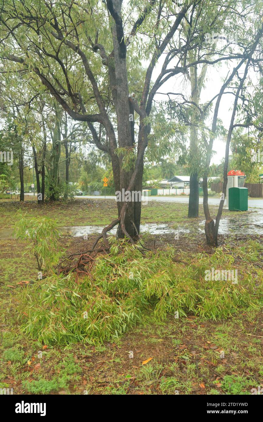 December 15, 2023, Cairns, Queensland, Australia Debris and branches of trees seen in the