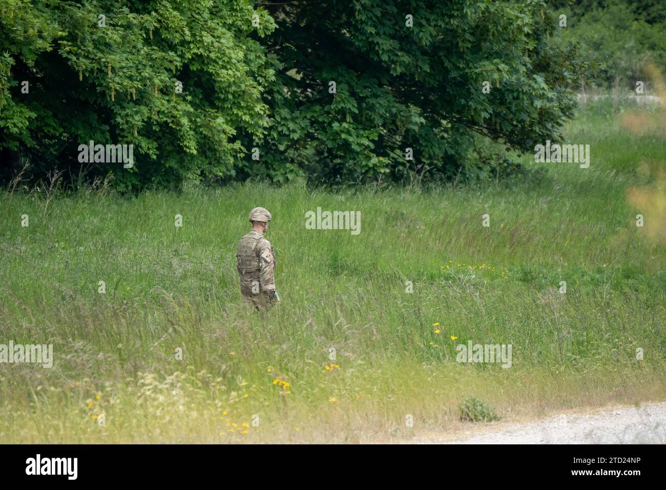 British army soldier moving through long grass Stock Photo