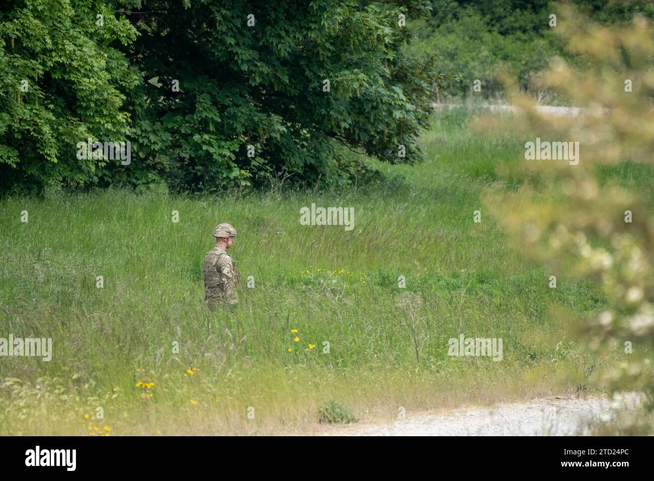 British army soldier moving through long grass Stock Photo
