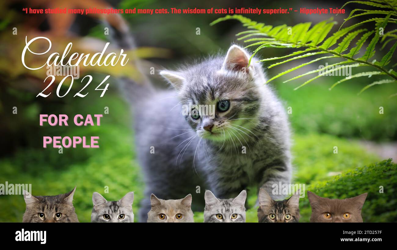 2024 Cats Calendar 13 pages Cover page Stock Photo Alamy