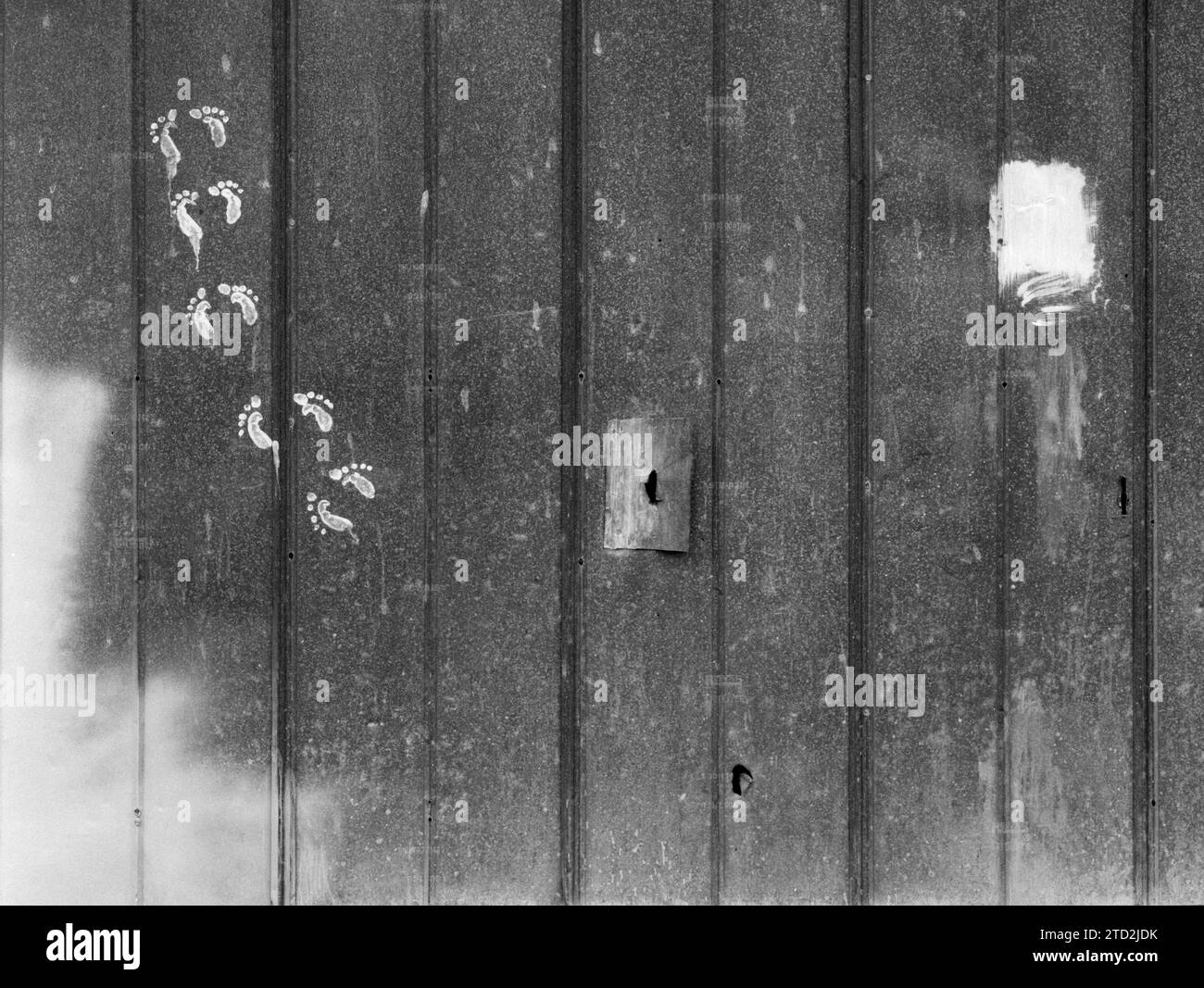 BW01755-00.....North Carolina - Footprinta on metal shed, Cedar Island, Stock Photo