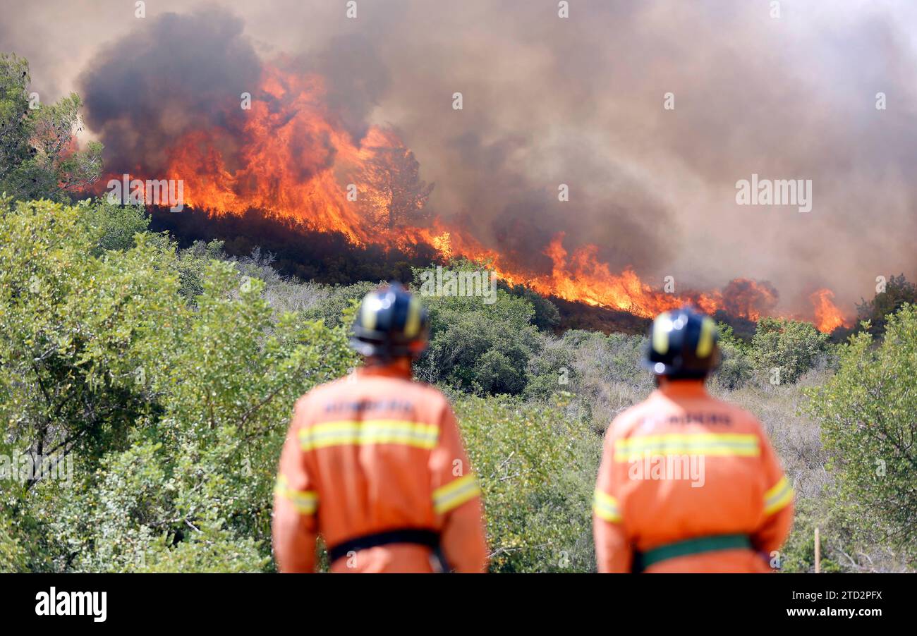 Valencia, 06/16/2016. Forest fire. Photo: Rober Solsona Archdc. Credit: Album / Archivo ABC / Rober Solsona Stock Photo