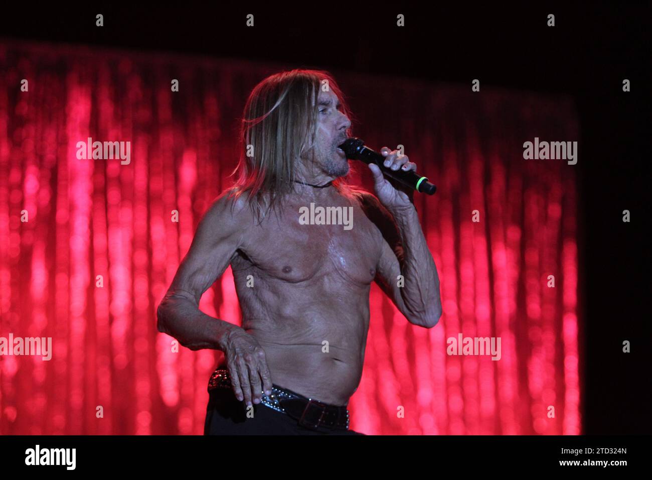 Iggy pop concert hi-res stock photography and images - Alamy