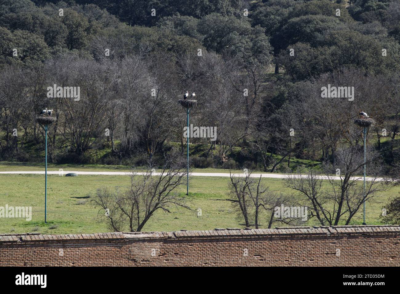 Boadilla del Monte (Madrid), 03/06/2015. Palace of the Infante Don Luis. Photo: Isabel Permuy Archdc. Credit: Album / Archivo ABC / Isabel B Permuy Stock Photo