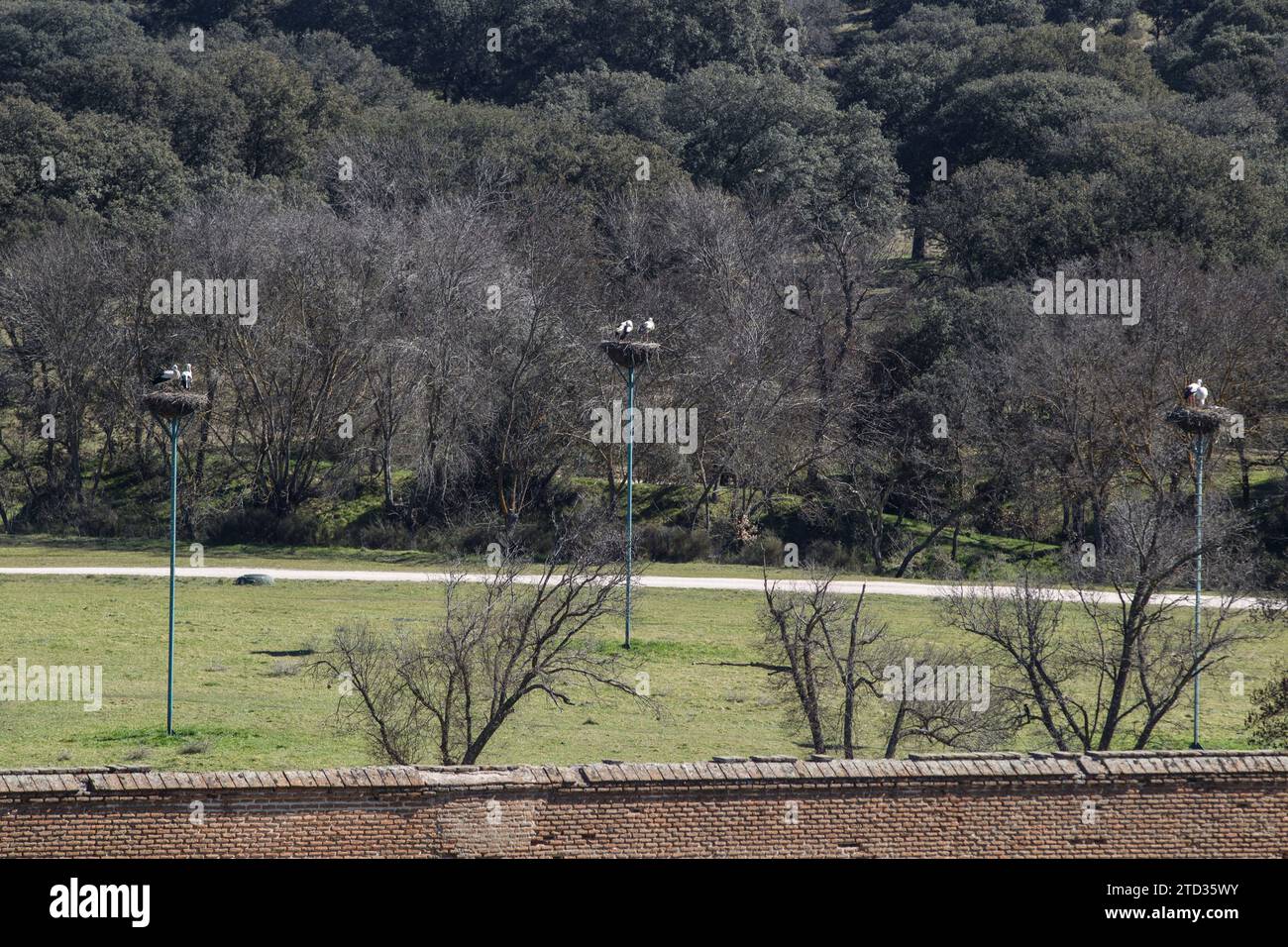 Boadilla del Monte (Madrid), 03/06/2015. Palace of the Infante Don Luis. Photo: Isabel Permuy Archdc. Credit: Album / Archivo ABC / Isabel B Permuy Stock Photo