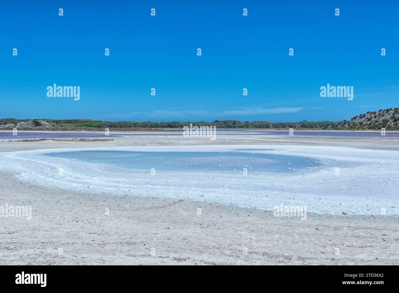 Scenic view of a salt lake on Rottnest Island or Wadjemup, Western Australia, Australia Stock Photo