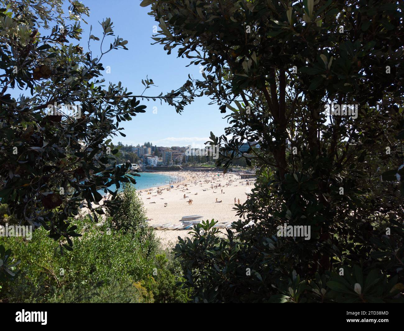 Coogee Beach During the Summer Stock Photo