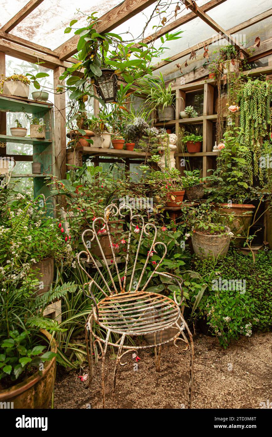 Botanical greenhouse vintage hi-res stock photography and images - Alamy