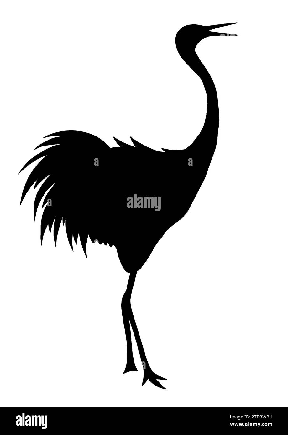 Crane (Grus grus), illustration black Stock Photo