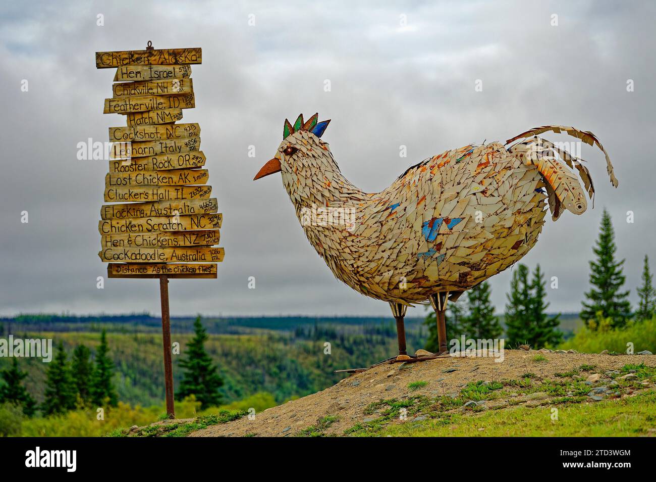 In the centre of Chicken, Top of the World Highway, with chicken
