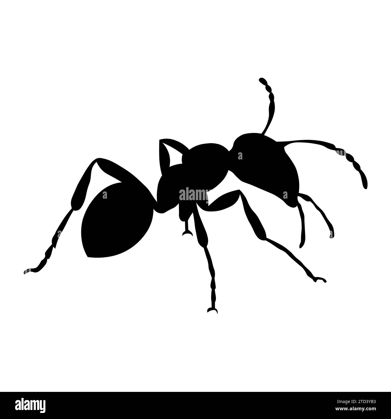 Ant vector black icon on white background Stock Vector Image & Art - Alamy