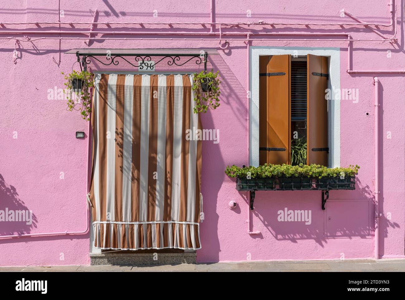 Pink house facade with entrance door and window with flowers, colourful houses on the island of Burano, Venice, Veneto, Italy Stock Photo