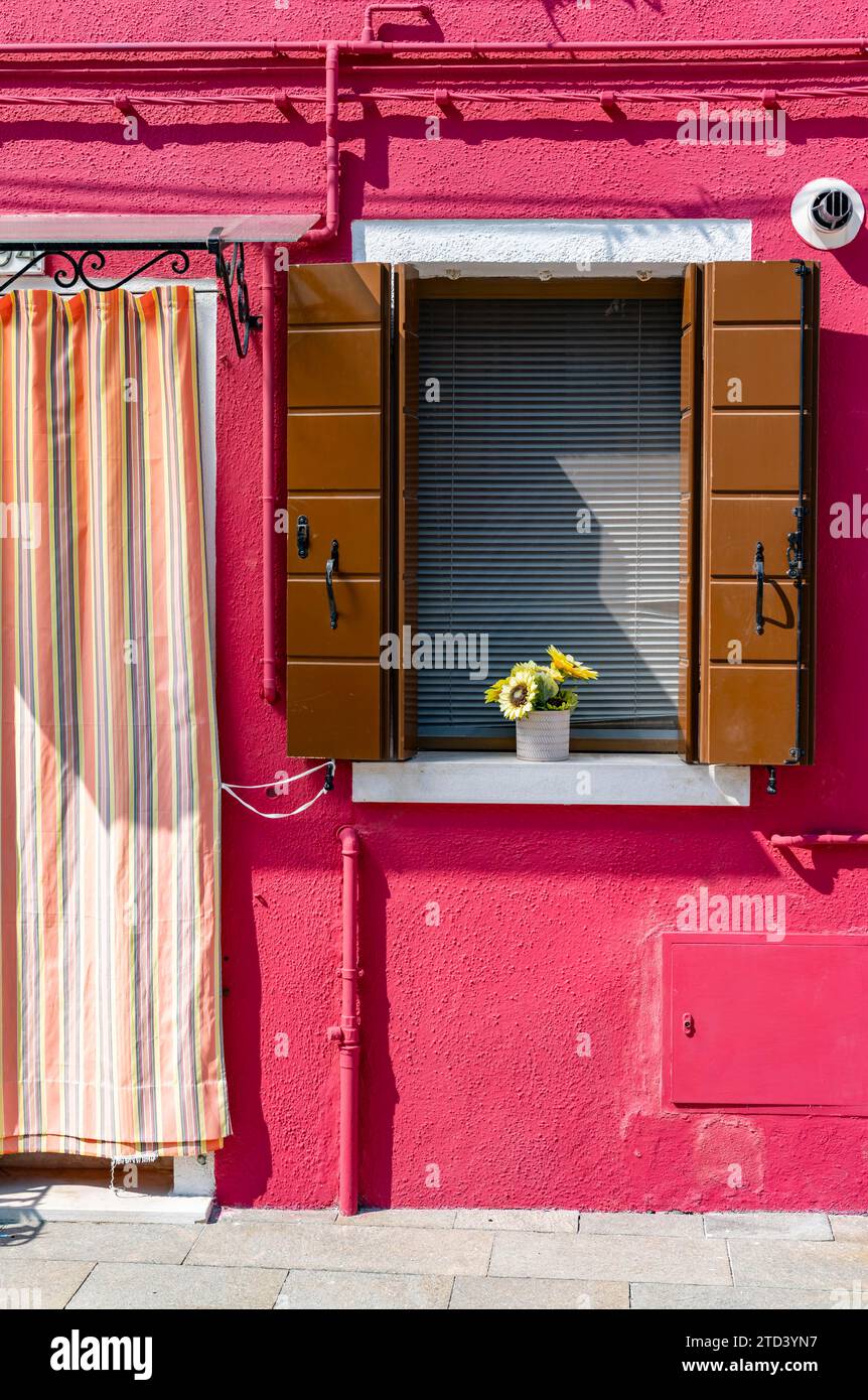 Pink house facade with entrance door and window with flowers, colourful houses on the island of Burano, Venice, Veneto, Italy Stock Photo